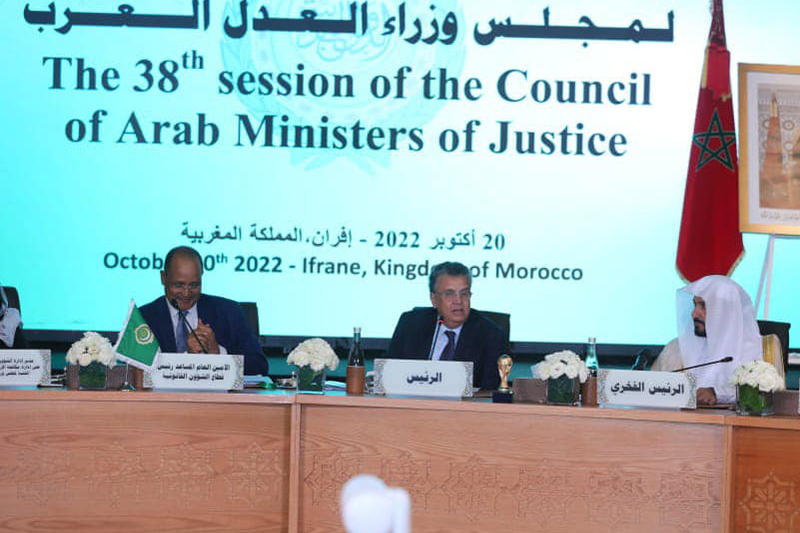  عبد اللطيف وهبي : المغرب عازم على الانخراط في كل المبادرات الهادفة إلى تطوير الشراكة والتعاون العربي