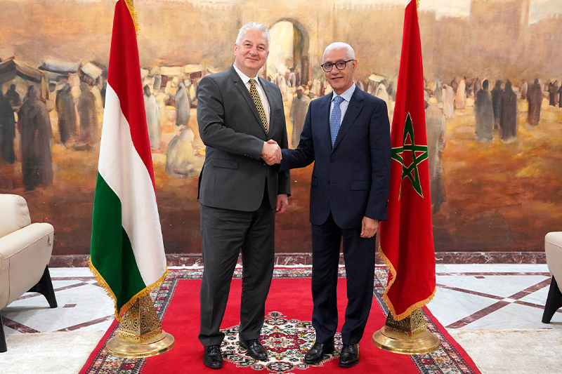  السيد رشيد الطالبي يتباحث مع نائب الوزير الأول بجمهورية المجر