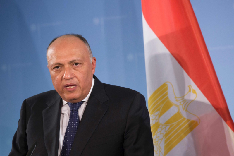  وزير الخارجية المصري يدعو إسرائيل إلى العمل بجدية لإحياء عملية السلام