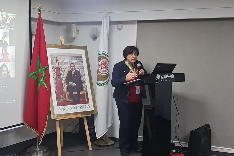  المديرة العامة لمنظمة المرأة العربية تشيد بمبادرات العاهل المغربي للارتقاء بأوضاع المرأة المغربية
