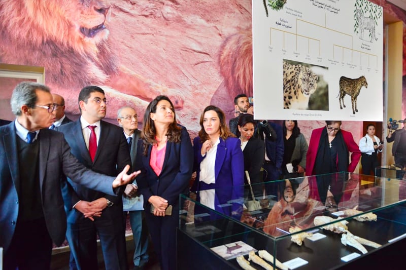 معرض أسد الأطلس: الوزير المهدي بنسعيد يشرف على افتتاح المعرض (صور)