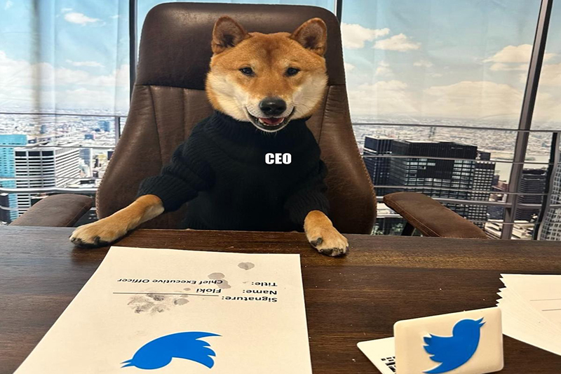  إيلون ماسك يعين كلبا على رأس إدارة تويتر