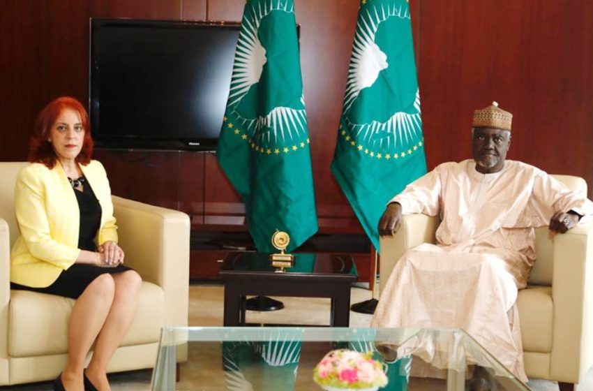 الخارجية الجزائرية تحتج على قبول اعتماد الديبلوماسية المغربية أمينة سلمان ممثلة لاتحاد المغرب العربي لدى الاتحاد الإفريقي
