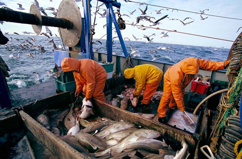  المصادقة على مشروع قانون يهم اقتناء سفن الصيد ومباشرة بنائها وترميمها