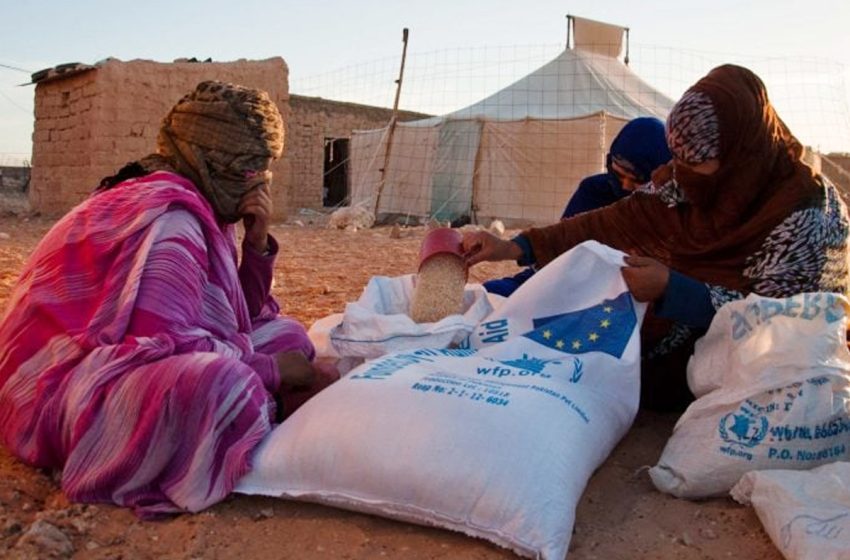 باحث صربي يساءل الجزائر عن مسؤوليتها في تحويل المساعدات الإنسانية الموجهة لمخيمات تندوف