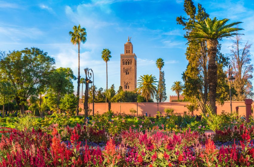 زيارة مراكش والجهة.. رحلة غنية بالألوان