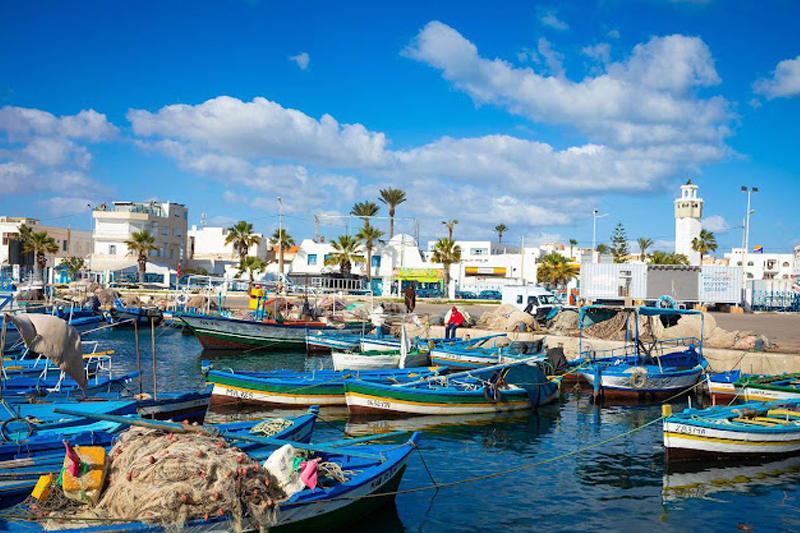  ميناء مهدية: بناء السوق الجديد للمنتجات السمكية