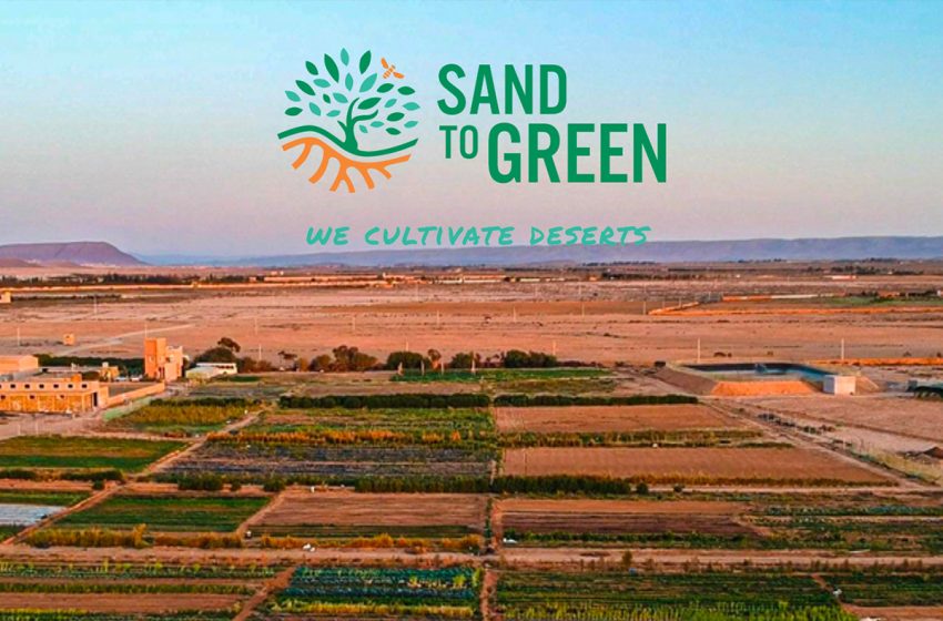  مقاولة Sand to green تقدم حلولا لتحويل الأراضي القاحلة إلى مساحات صالحة للزراعة