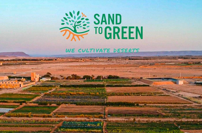 مقاولة Sand to green تقدم حلولا لتحويل الأراضي القاحلة إلى مساحات صالحة للزراعة