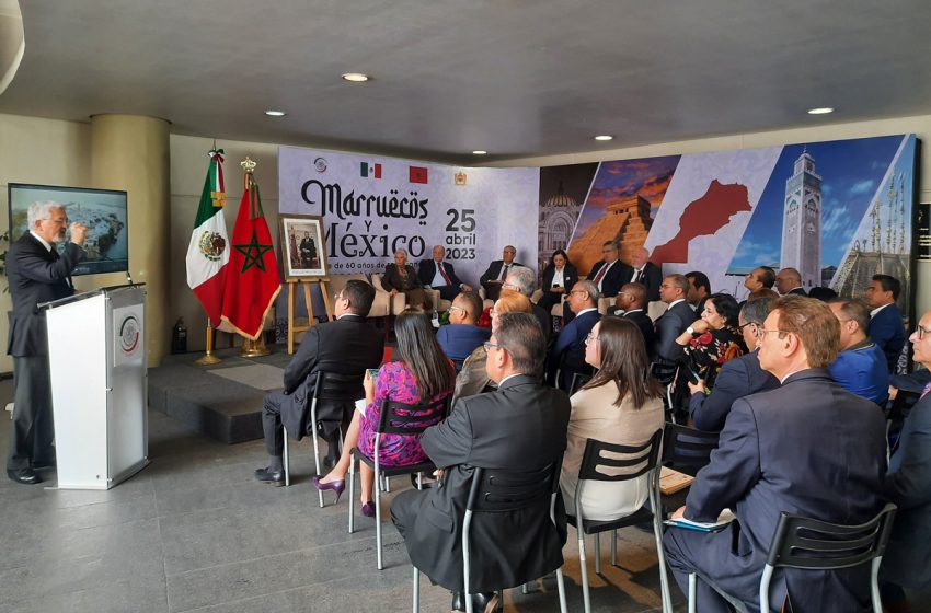 المكسيك والمغرب: شراكة واعدة في خدمة التعاون جنوب-جنوب
