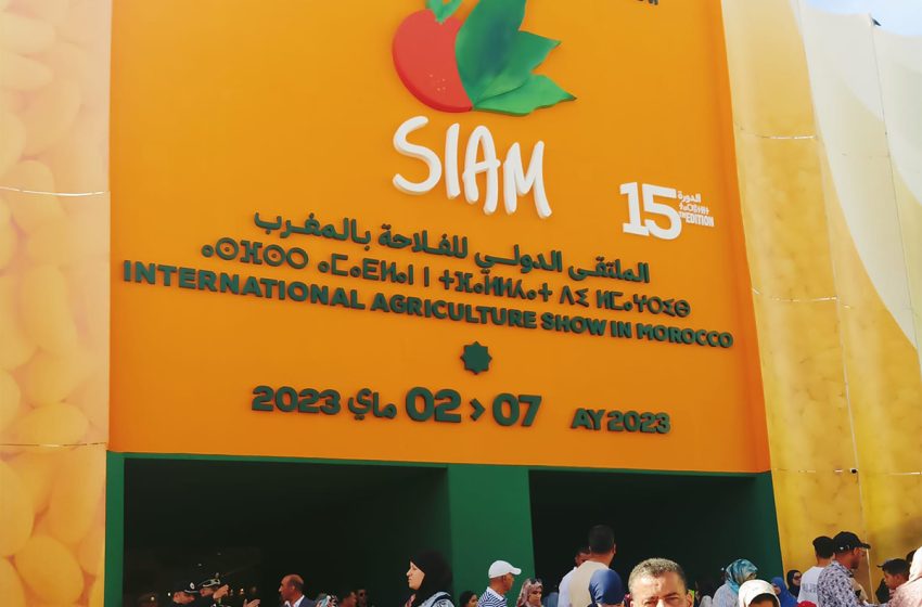  السيد الشامي: الدورة الـ 15 للملتقى الدولي للفلاحة بالمغرب حطمت جميع الأرقام القياسية