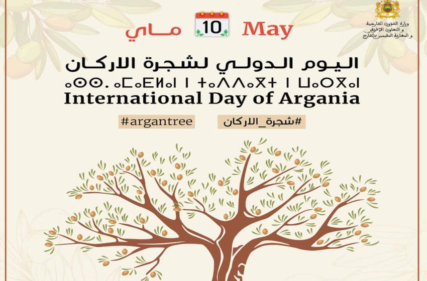  اليوم العالمي لشجرة الأركان اعتراف بجهود المغرب في الحفاظ على هذه الثروة النباتية