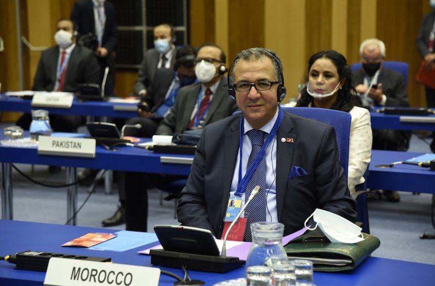  المغرب يدعم التنفيذ الكامل لاتفاقية الأمم المتحدة لمكافحة الجريمة المنظمة عبر الوطنية