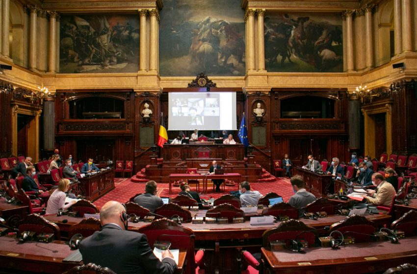 بلجيكا: رئيسة مجلس الشيوخ ترغب في إلغاء المجلس