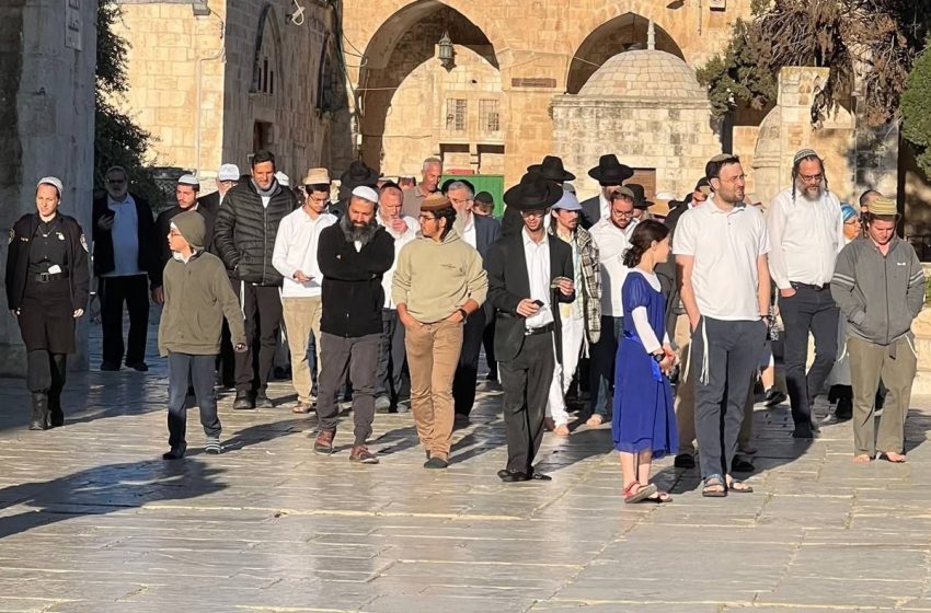  مستوطنون يقتحمون باحات المسجد الأقصى من جهة باب المغاربة