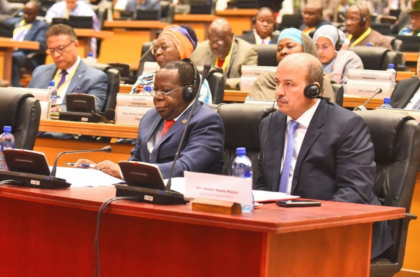  البرلمان الإفريقي: رئيس مجلس المستشارين يؤكد أولوية ورش تنفيذ منطقة التبادل الحر القارية الإفريقية بالنسبة للمغرب