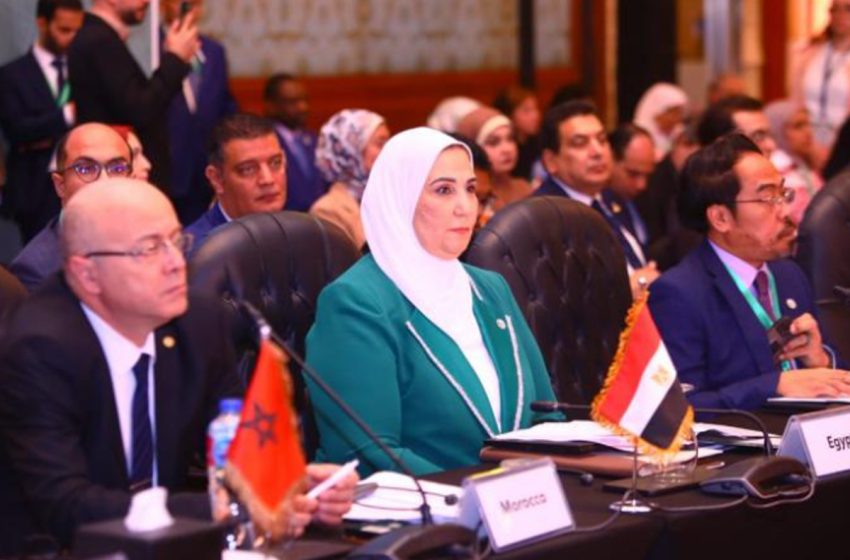 المؤتمر الوزاري للتنمية الاجتماعية لمنظمة التعاون الإسلامي ينطلق في القاهرة بمشاركة المغرب