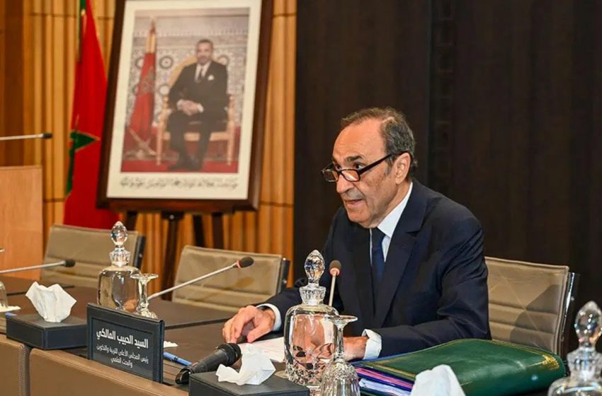  الحبيب المالكي: المغرب يراهن على التموقع في مجتمع المعرفة تنزيلا للإرادة الملكية