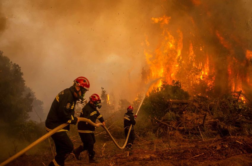 تسجيل 182 حريقا بغابات المغرب خلال 2023