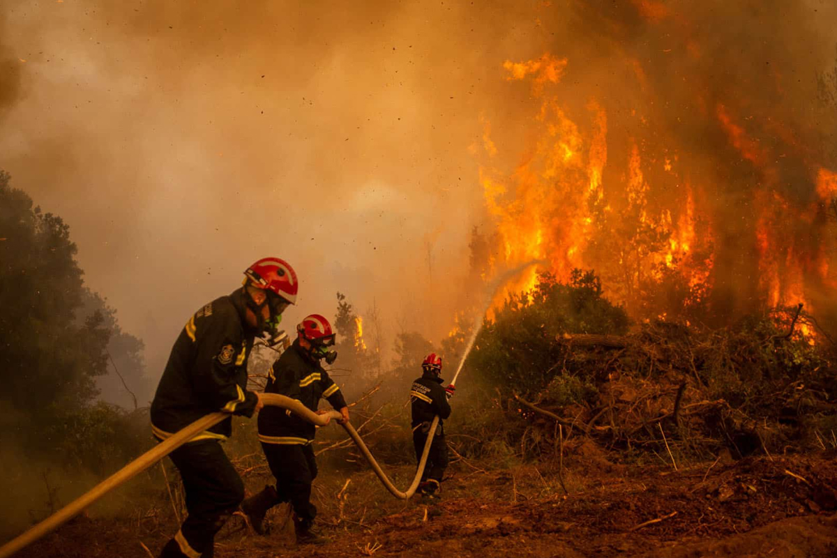 الوكالة الوطنية للمياه والغابات تشرع في إصدار خرائط التنبؤ باندلاع الحرائق الغابوية
