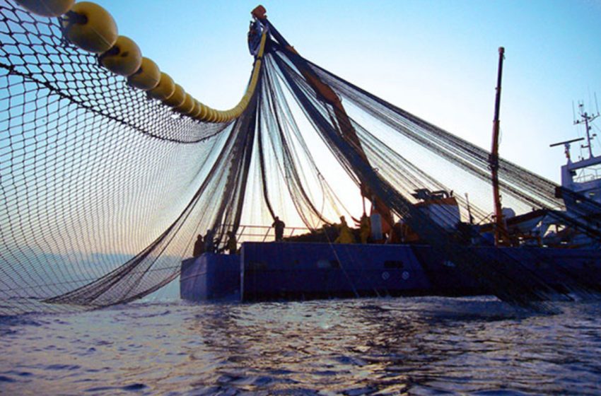  الإتحاد الأوروبي يجدد تأكيده على الأهمية القصوى لشراكته مع المغرب في مجال الصيد البحري واهتمامه الكبير باستمرارها