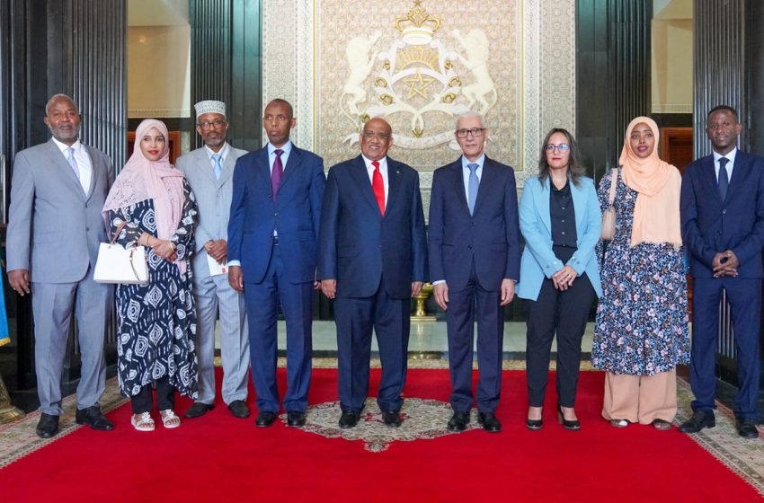  رئيس الجمعية الوطنية بجيبوتي يؤكد على أهمية الدبلوماسية البرلمانية في تمتين العلاقات المتميزة مع المغرب