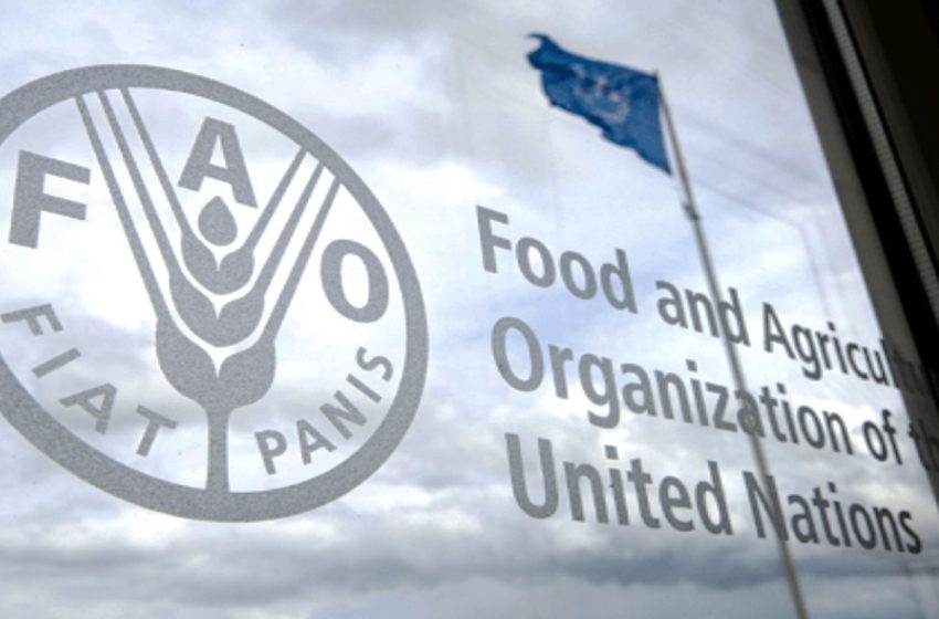  انتخاب المغرب في مجلس إدارة منظمة الأغذية والزراعة