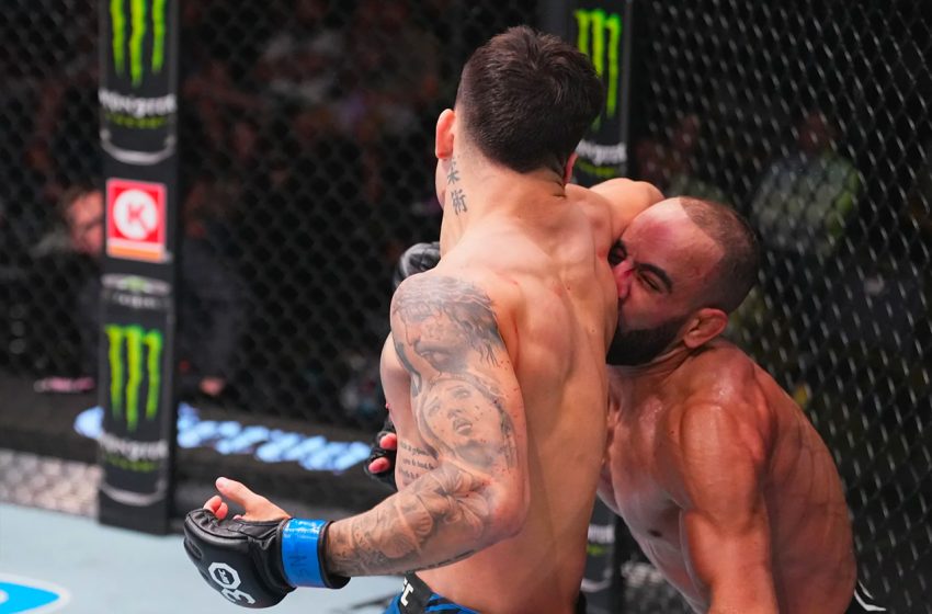 عثمان أبو زعيتر ينهزم بالضربة القاضية أمام الأرجنتيني باردو في بطولة UFC