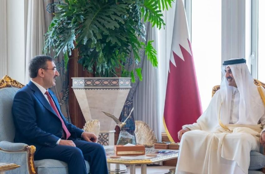 الشيخ تميم بن حمد آل ثاني يبحث مع نائب الرئيس