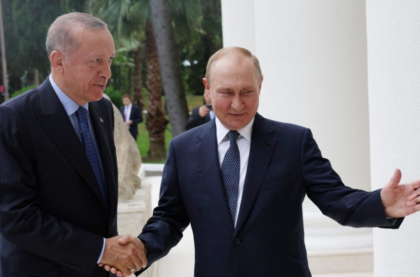  بوتين يطلب من إردوغان دعم تصدير الحبوب الروسية