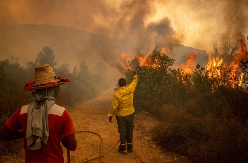 حرائق الغابات بالمغرب: خطورة متوسطة إلى قصوى يومي الثلاثاء والأربعاء في عدة أقاليم