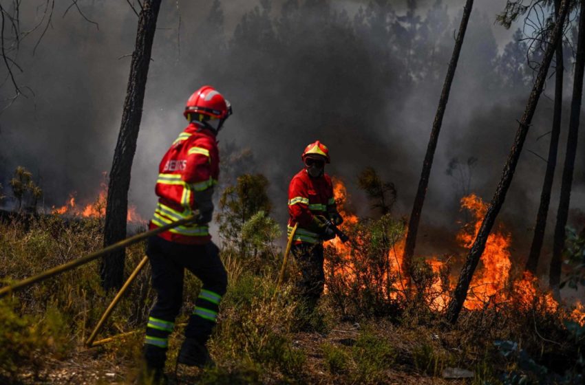  حرائق في البرتغال بسبب موجة الحر وإسبانيا في حال تأهب