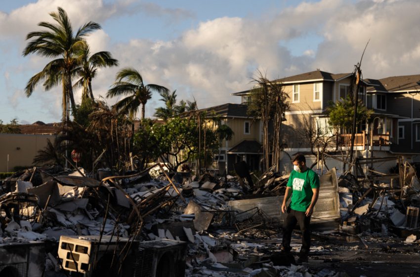  حرائق الغابات في هاواي الأمريكية تودي بحياة 93 شخصا