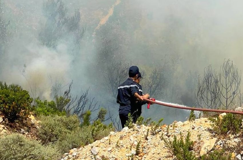  تاونات: الجهود متواصلة لإخماد حريقين بالغابة المخزنية ورغة العليا وورغة الوسطى