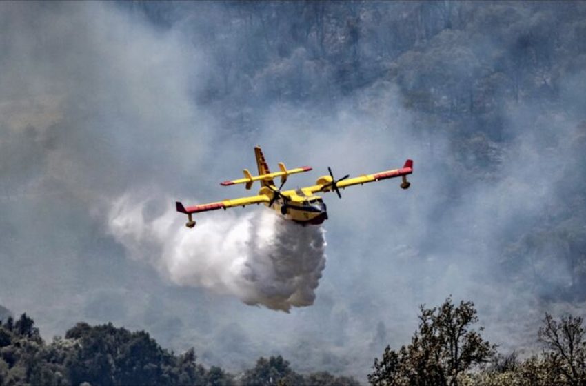  تازة: السيطرة بالكامل على حريق غابة مغراوة