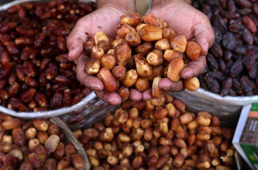 الملتقى الدولي للتمر أرفود 2023: واجهة متميزة لتنمية سلسلة نخيل