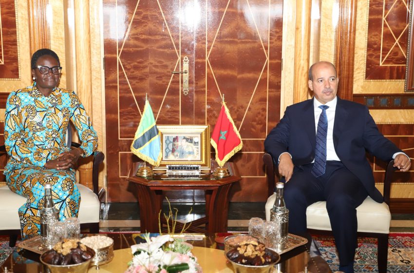 رئيسة الجمعية الوطنية بتنزانيا: المغرب وتنزانيا مدعوان لإضفاء دينامية جديدة على تعاونهما في المجال البرلماني