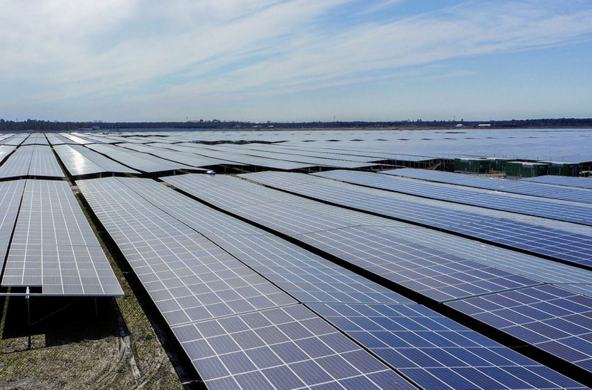 بلجيكا تفتتح أكبر محطة للطاقة الشمسية القائمة على الدينامية الحرارية في أوروبا