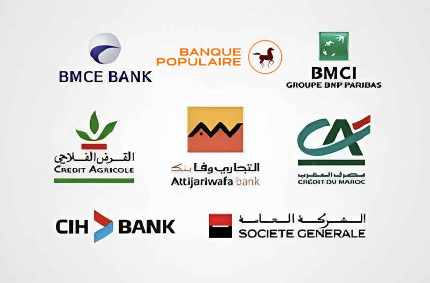  الصندوق الخاص بتدبير آثار زلزال الحوز: مجانية تامة للخدمات البنكية المرتبطة بتحويل التبرعات (المجموعة المهنية لبنوك المغرب)