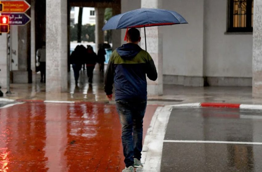  نشرة إنذارية: أمطار ورياح قوية مرتقبة من الخميس إلى الجمعة بعدد من أقاليم المملكة