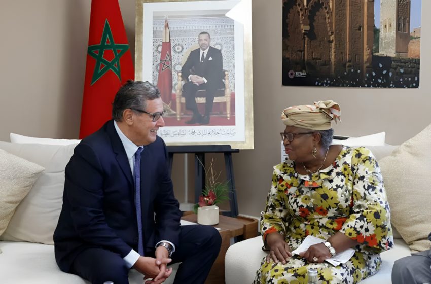 المديرة العامة لمنظمة التجارة العالمية تشيد بالريادة الإفريقية للمغرب