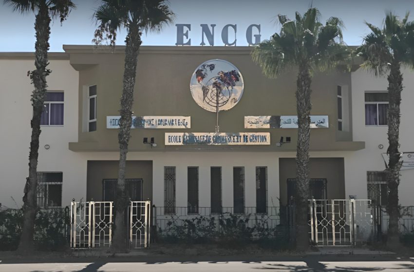  المدرسة الوطنية للتجارة والتسيير بطنجة تفتح تخصصات جديدة في المالية وإدارة الأعمال