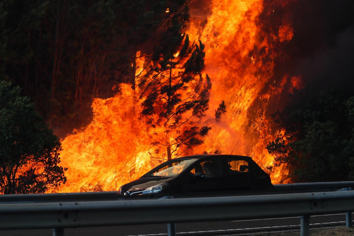 توقيف 61 شخصا في البرتغال بتهمة إشعال حرائق الغابات