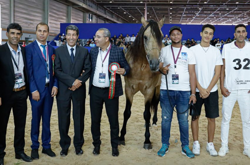  معرض الفرس2023: الحصان قيصر الشاوية يتوج بالميدالية الذهبية لكأس الأبطال للخيول البربرية