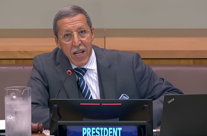  الأمم المتحدة: إعادة انتخاب عمر هلال رئيسا لتشكيلة جمهورية إفريقيا الوسطى للجنة تعزيز السلام