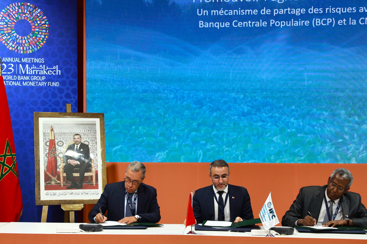 مؤسسة التمويل الدولية المغرب