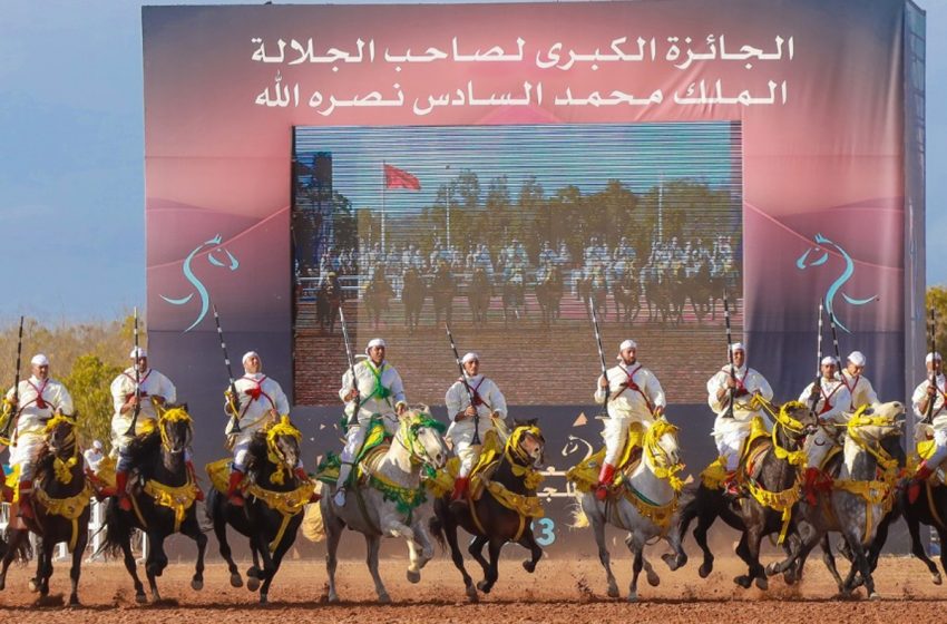 كأس الأبطال للخيول العربية البربرية 2023: الفرس مدغشقر يفوز بالميدالية الذهبية