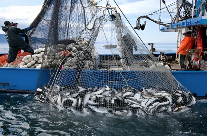 المغرب يفوز بجائزة المطابقة للهيئة العامة لمصايد أسماك البحر الأبيض المتوسط