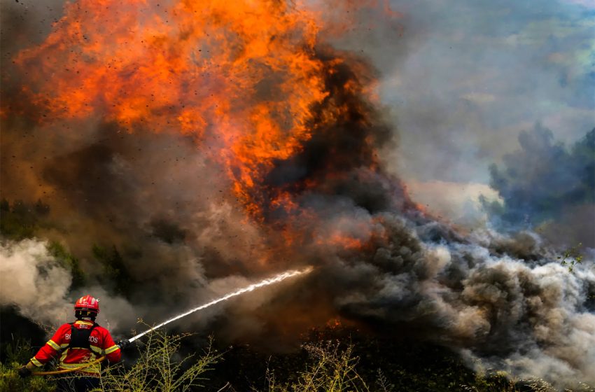  الاتحاد الأوروبي: سنة 2022 ثاني أسوأ عام لحرائق الغابات
