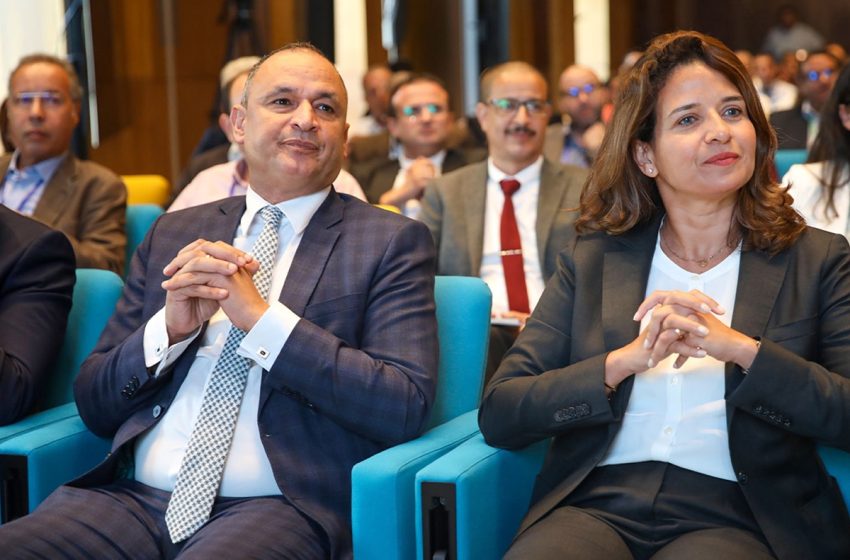  السيد رياض مزور: العلامات المغربية في قطاع الكهرباء والطاقات المتجددة مدعوة إلى تطوير صادراتها